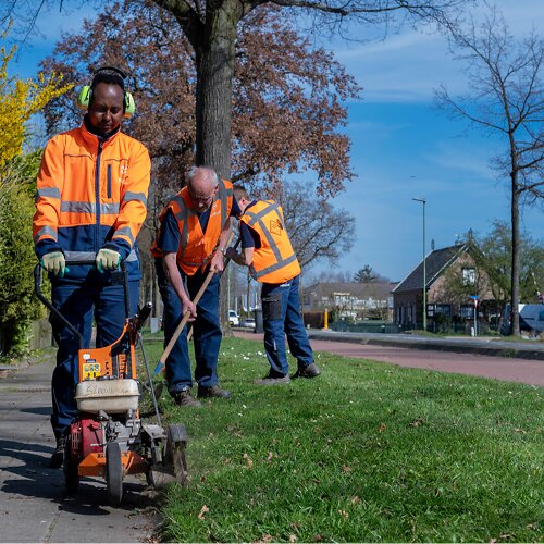 MidZuid over werk met waarde